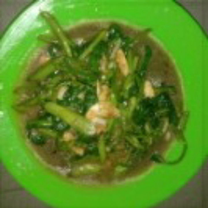 CAH KANGKUNG