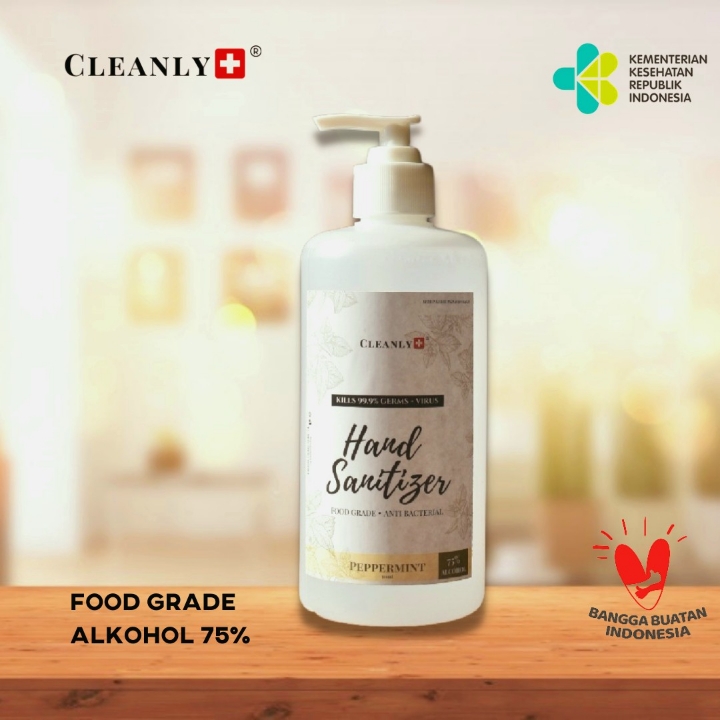 CLEANLY Handsantizer Foodgrade-alkohol-peppermint 500ml