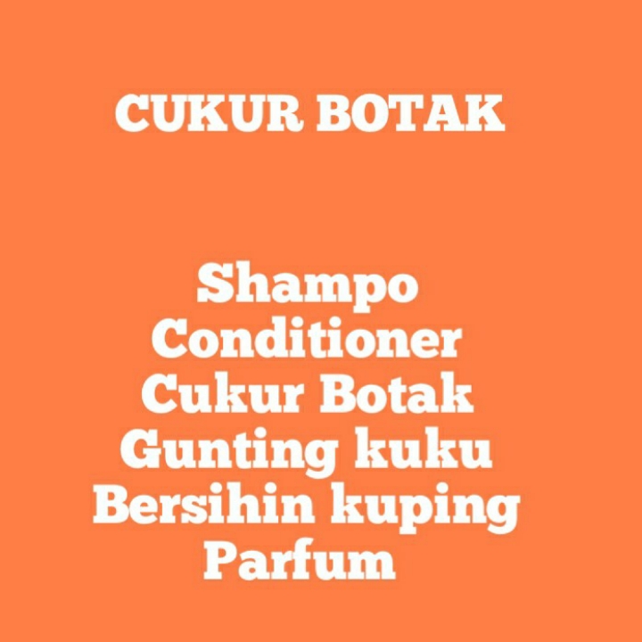 CUKUR BOTAK 2