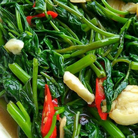 Ca Kangkung