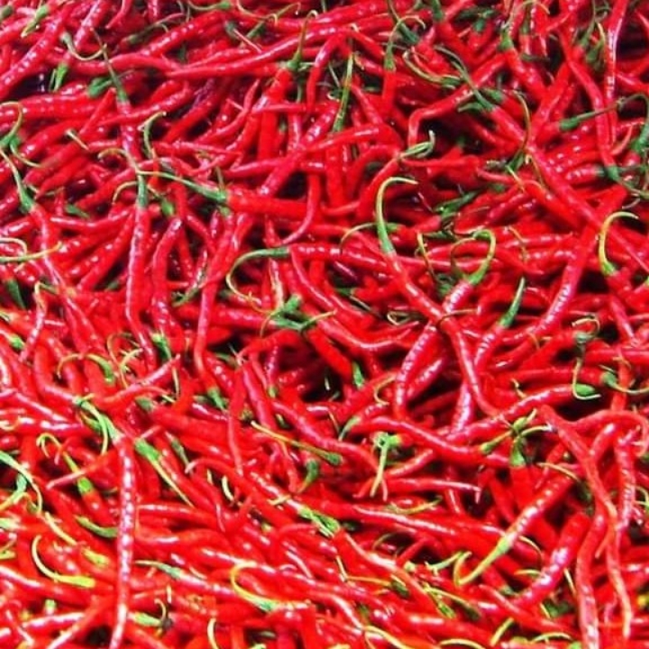 Cabe Merah 250g