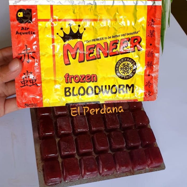 Cacing Beku Frozen Bloodworm Meneer 2