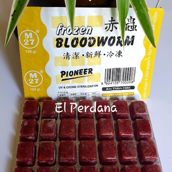 Cacing Beku Frozen Bloodworm Pioneer 2