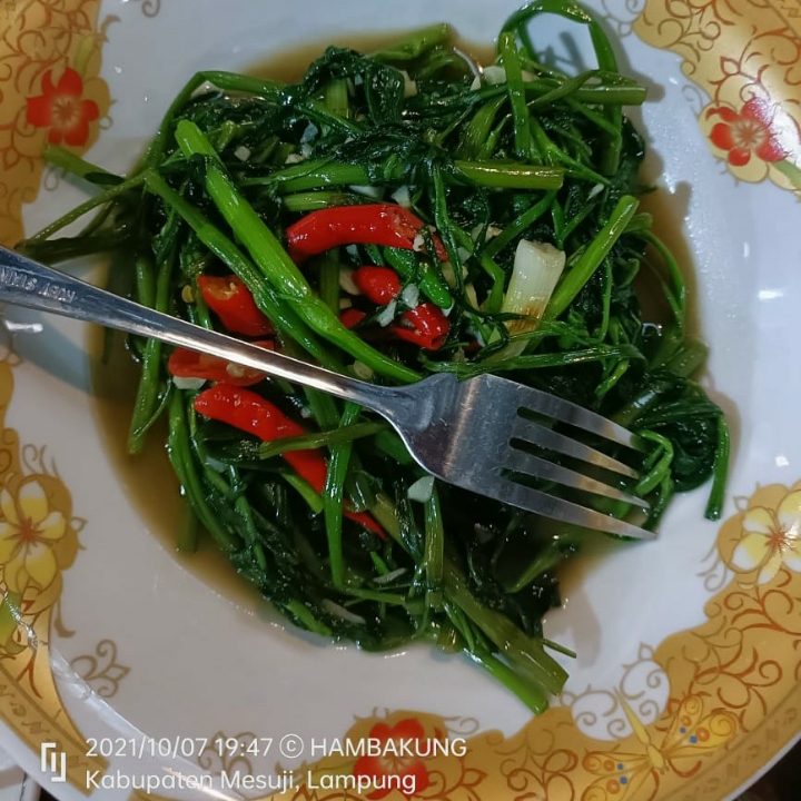 Cah Kangkung