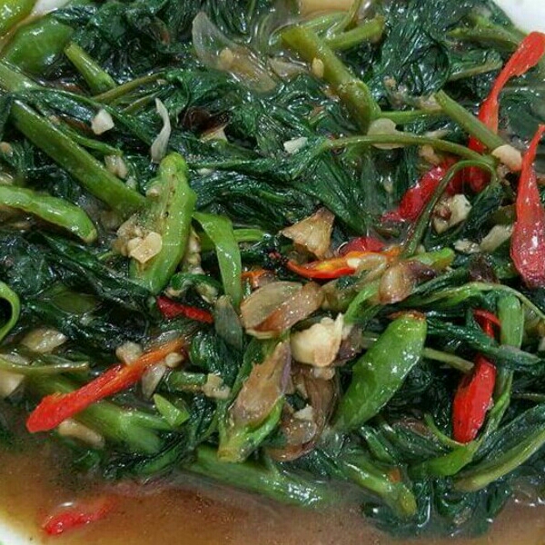 Cah Kangkung