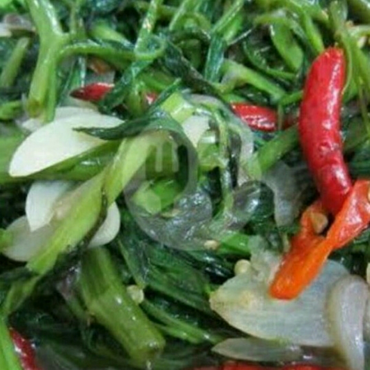 Cah Kangkung