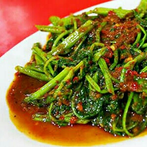 Cah Kangkung