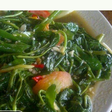 Cah Kangkung