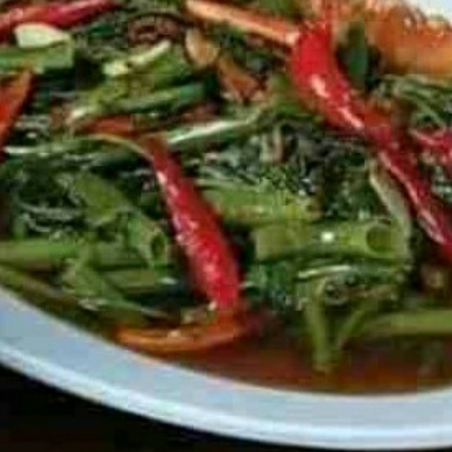 Cah Kangkung