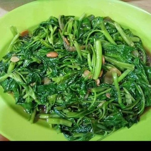 Cah Kangkung