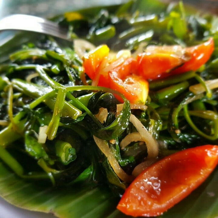 Cah Kangkung Polos