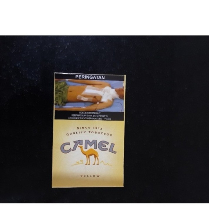 Camel Kuning 20