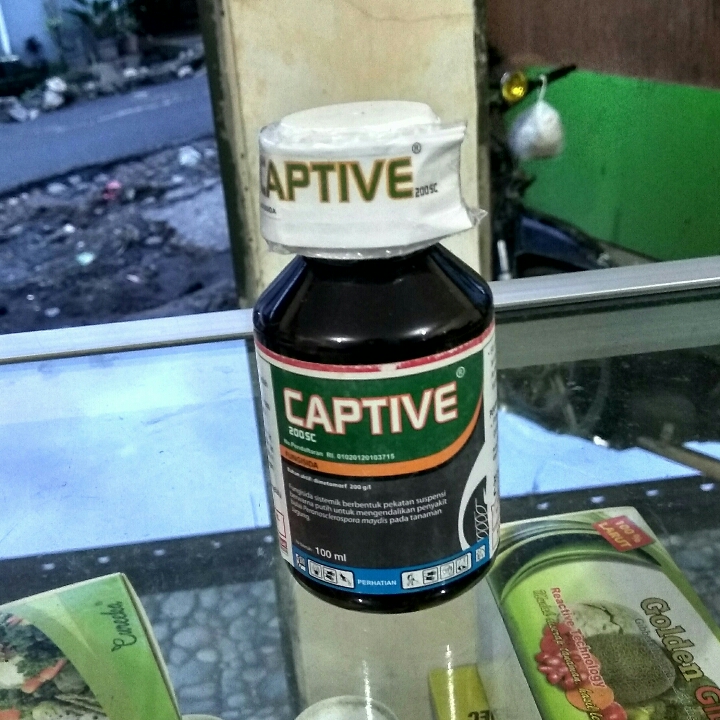 Captive