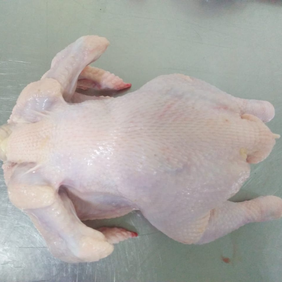 Carcas Chicken Frozen