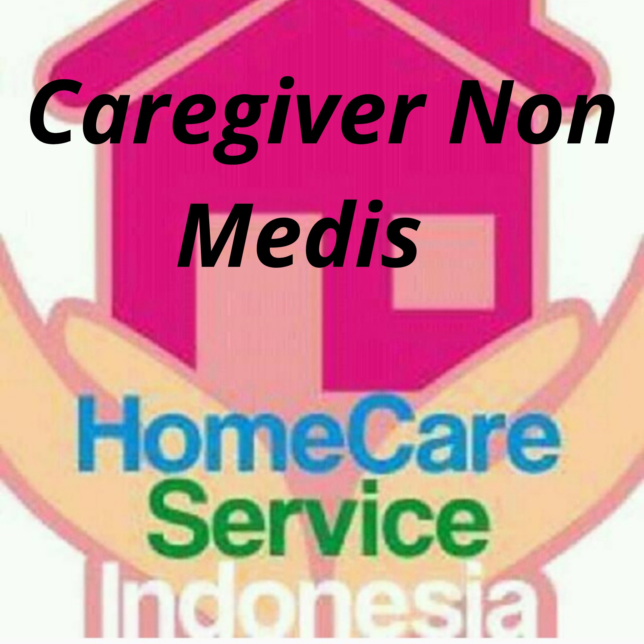 Caregiver Non Medis