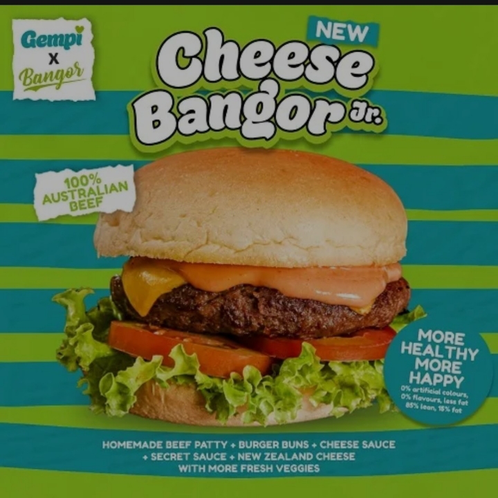 Cheese Bangor Jr Large