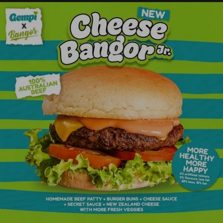 Cheese Bangor Jr Small