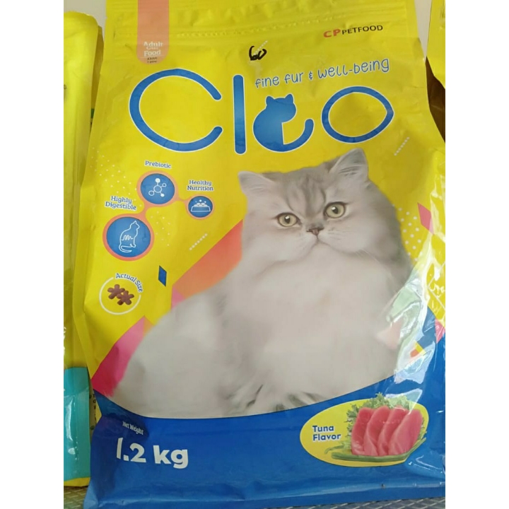 Cleo Adult 