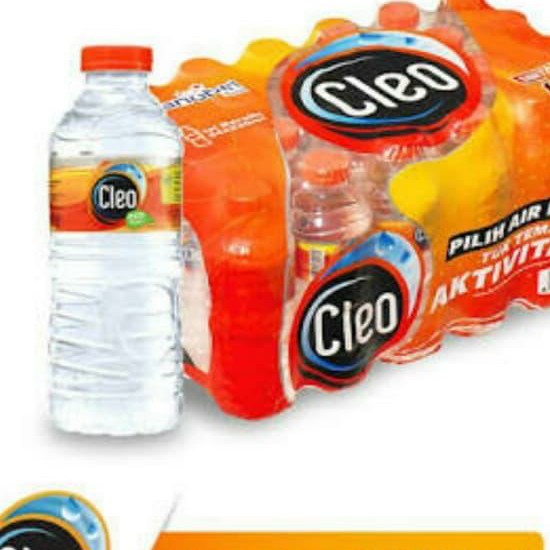 Cleo Air Mineral Botol 220ml