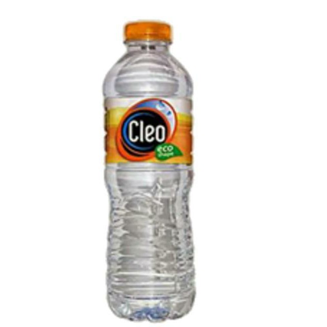 Cleo Air Mineral Botol 550ml