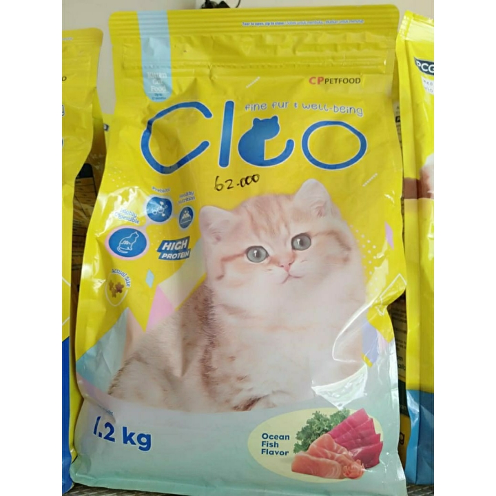 Cleo Kitten