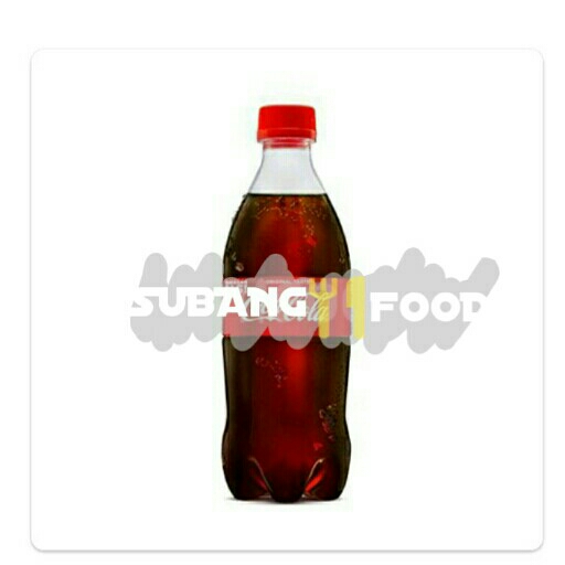 Coke Pet 250ml