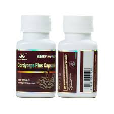 Cordyceps Plus Capsule