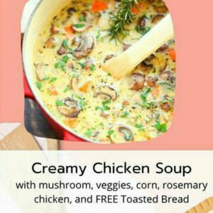 Creamy Chicken Soup