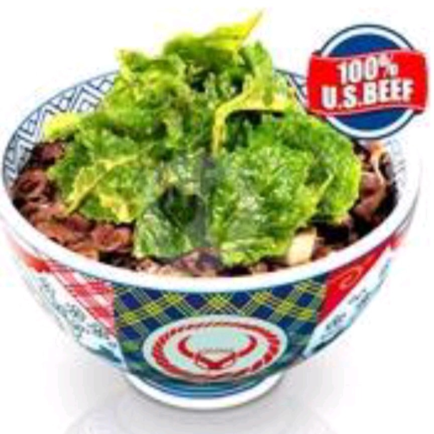 Crispy Spinach Yakiniku Beef Bowl L