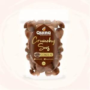 Crunchy Sus Cokelat Besar