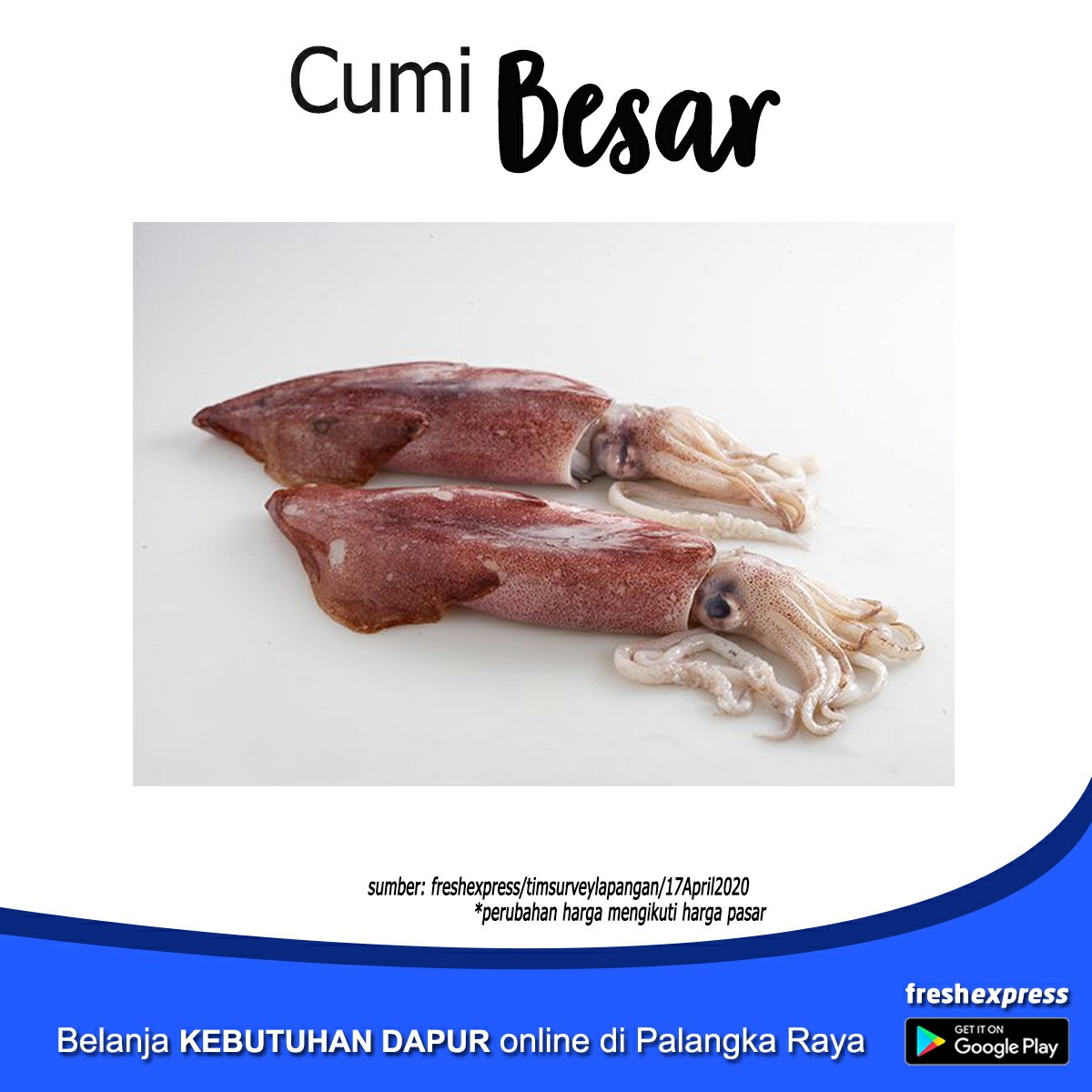 Cumi Besar 500 Gram