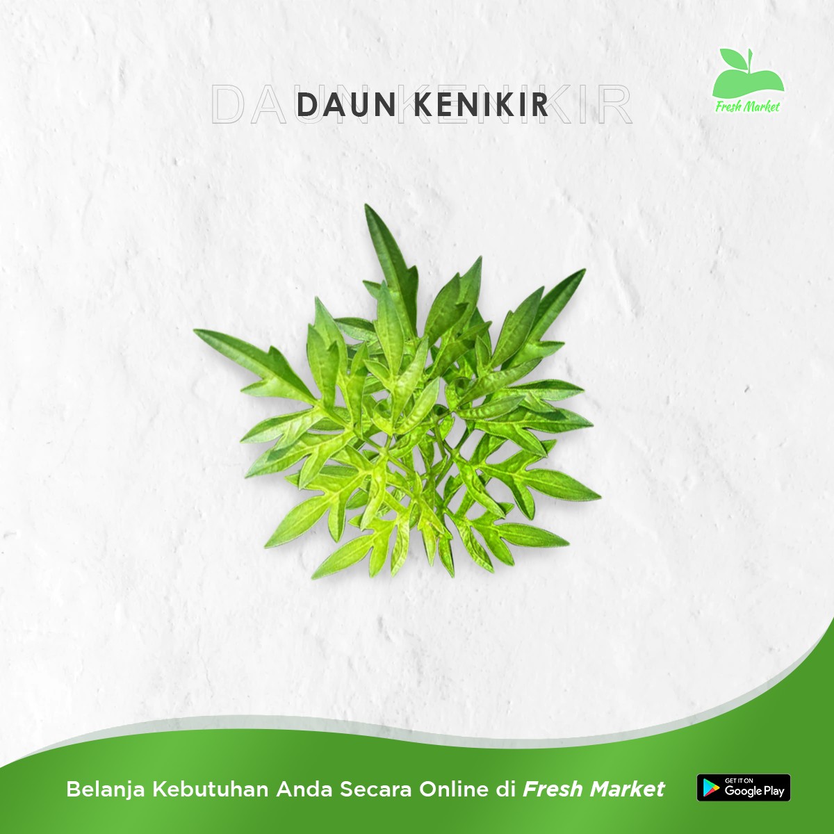 DAUN KENIKIR 1 IKAT