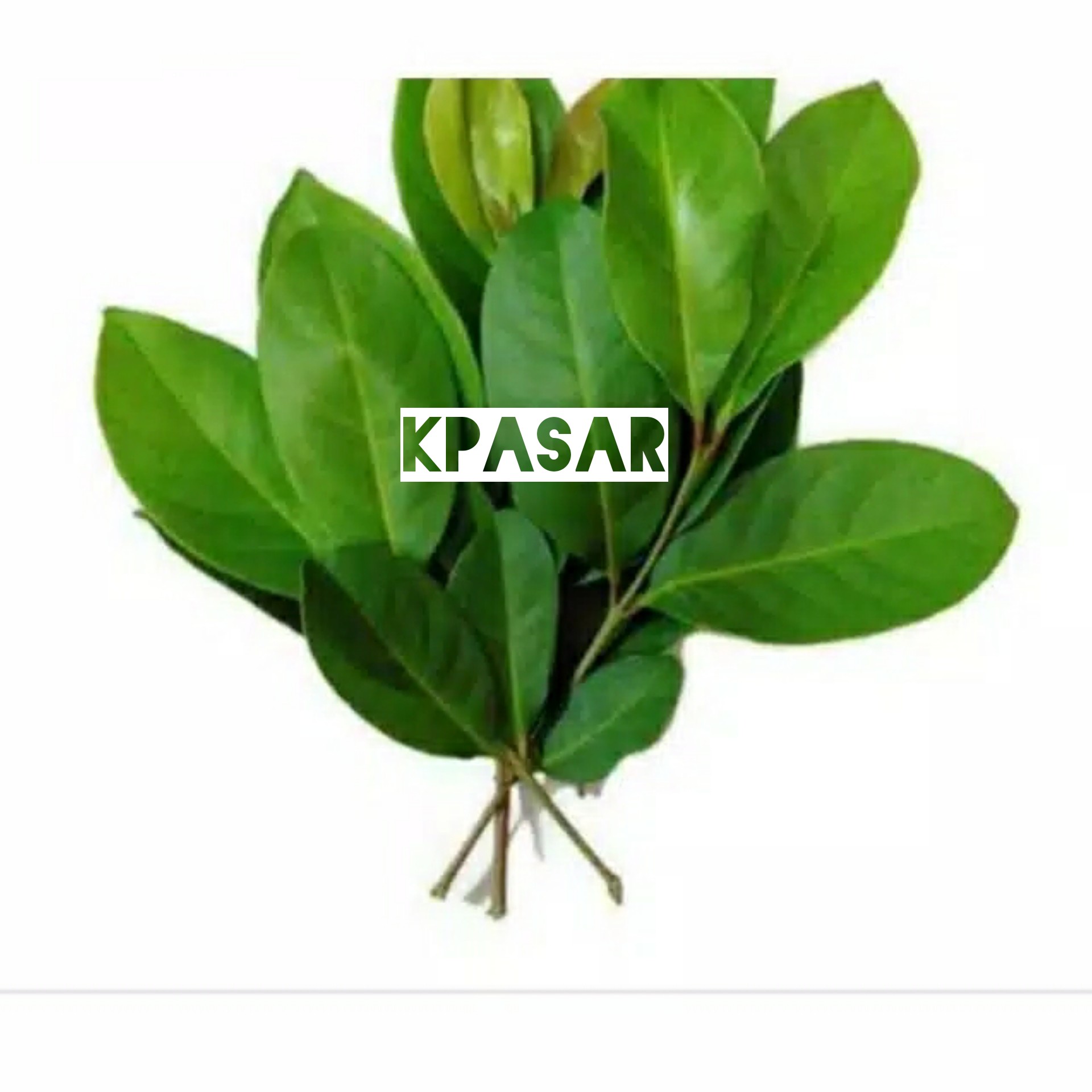 DAUN SALAM 250 GRAM