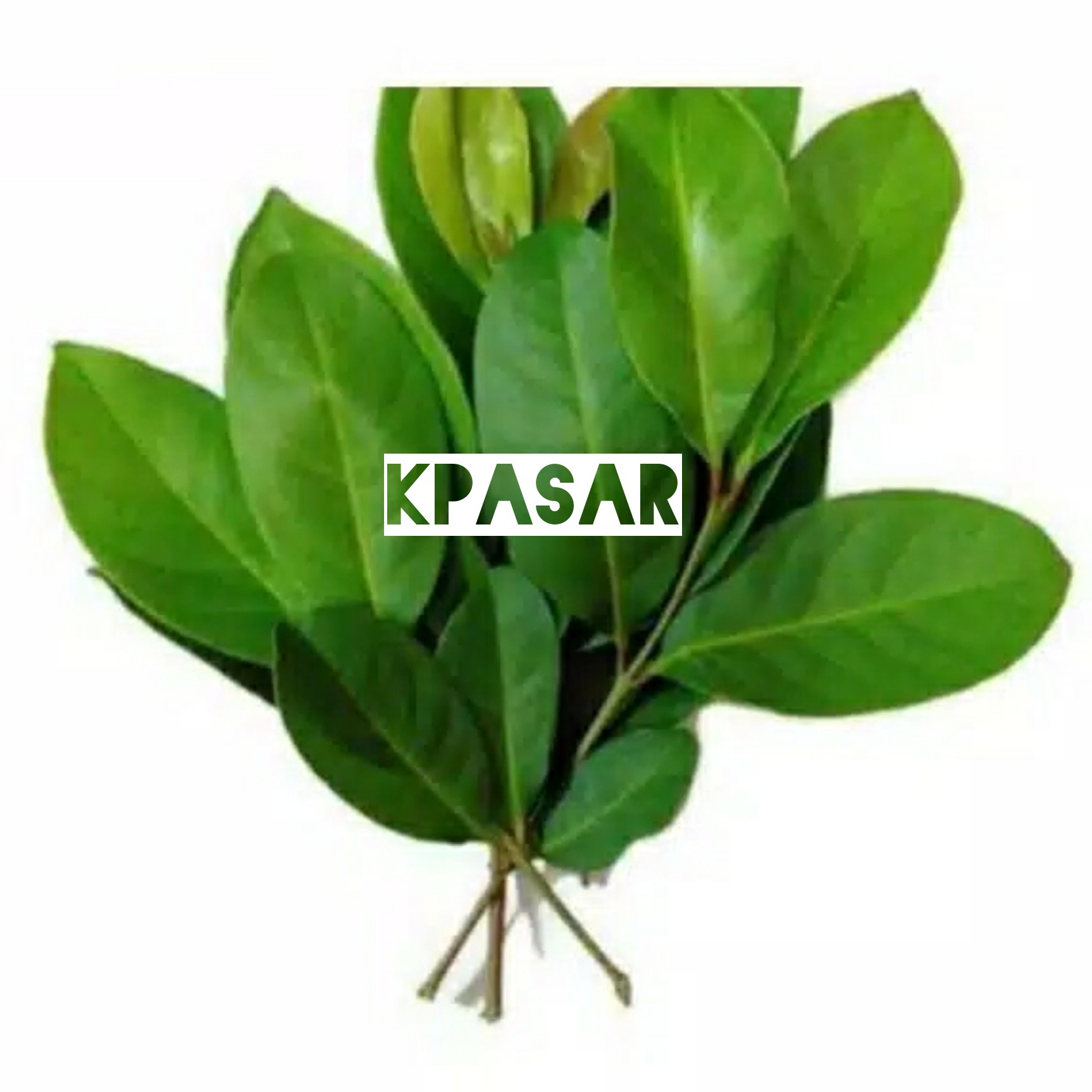 DAUN SALAM KEMASAN 100 GRAM