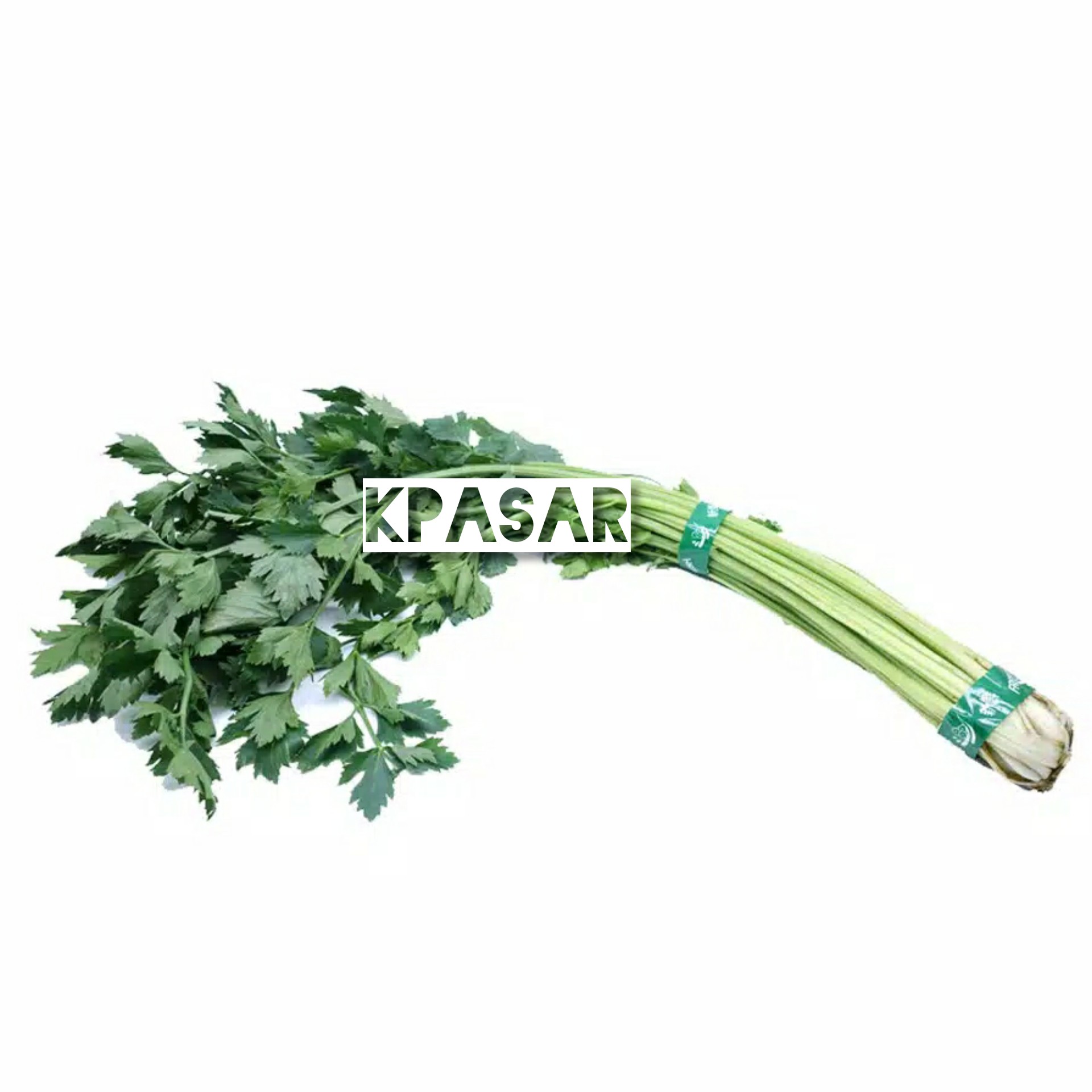 DAUN SELEDRI 1 IKAT