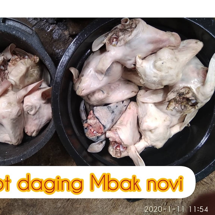 Daging Kambing Segar