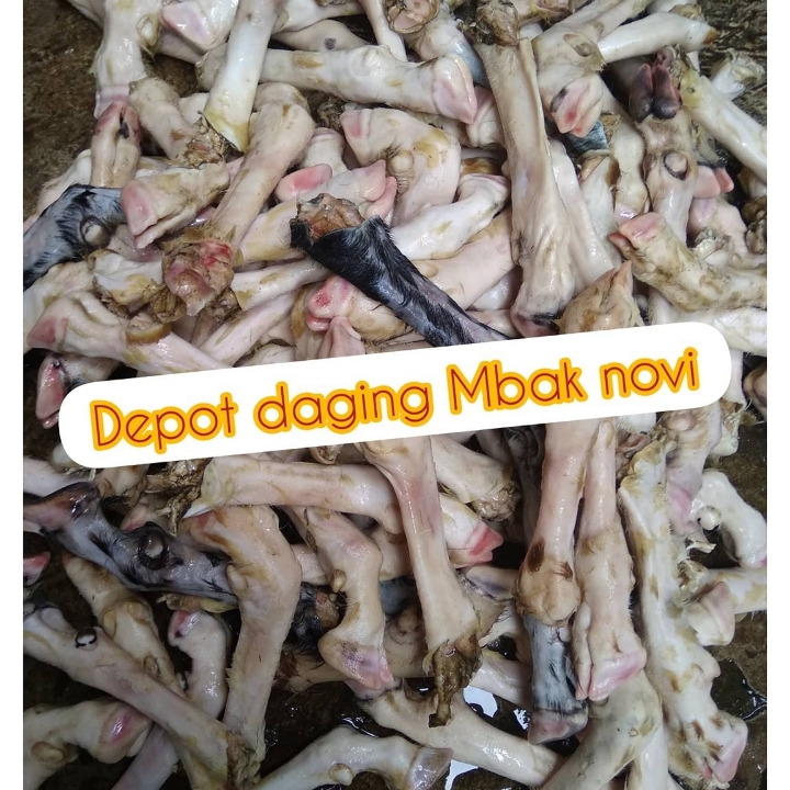 Daging Kambing Segar 3