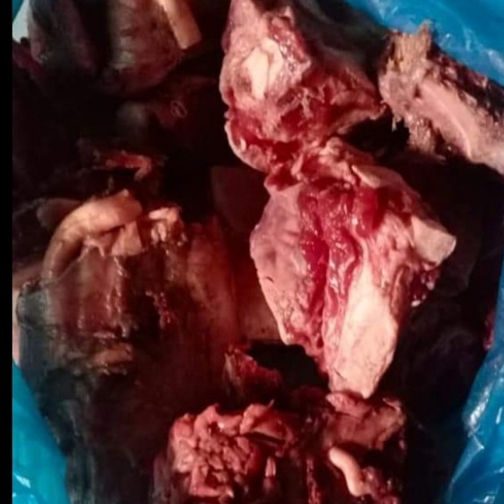 Daging Kerbau 1 Kg