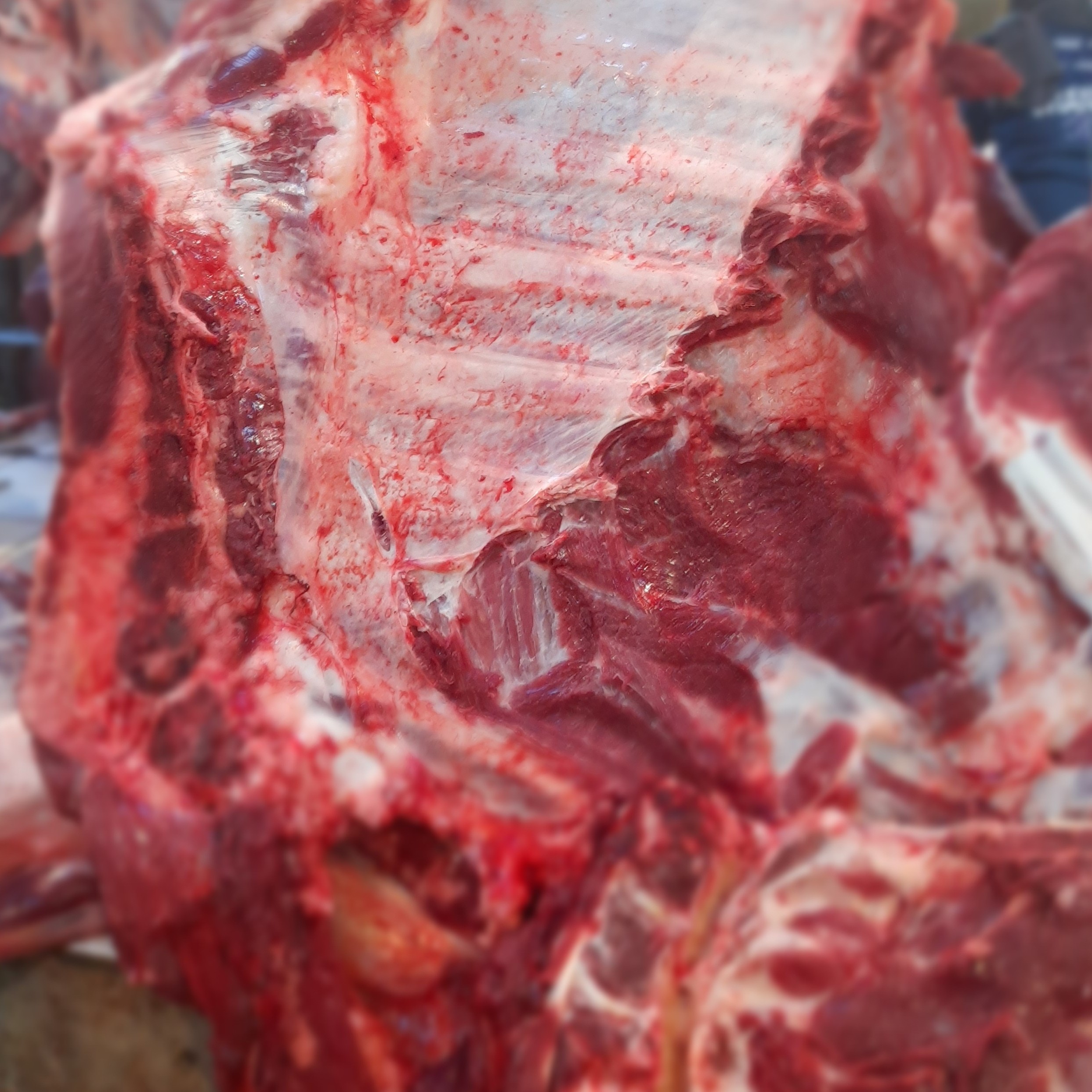 DAGING SAPI BAGIAN IGA 1KG