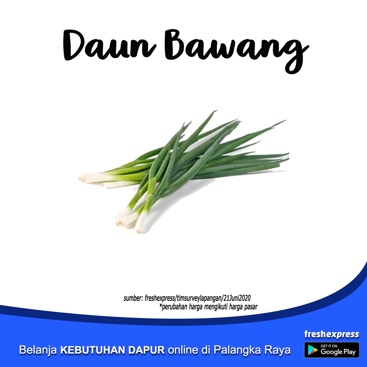 Daun Bawang - Ikat Besar