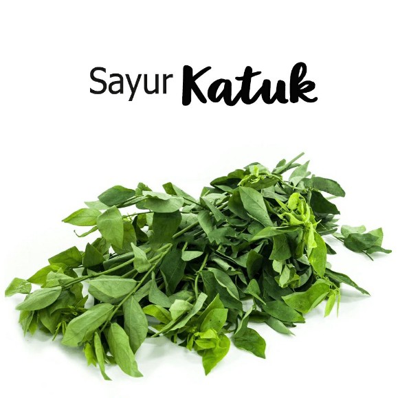 Daun Katuk 1 Kg