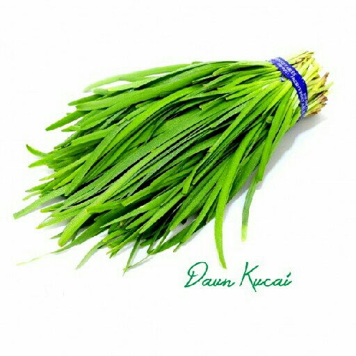 Daun Kucai