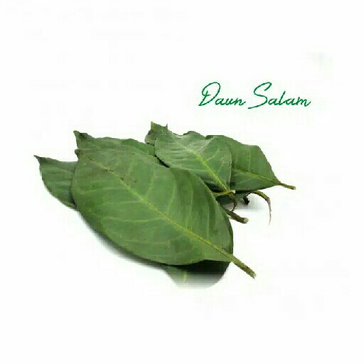 Daun Salam