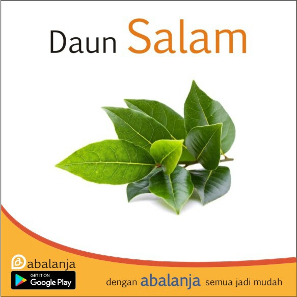 Daun Salam 1 Gantung