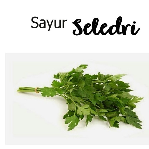 Daun Seledri Seperampat Kg