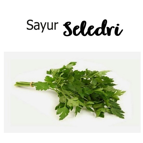 Daun Seledri Setengah Kg