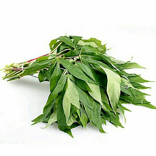 Daun Singkong