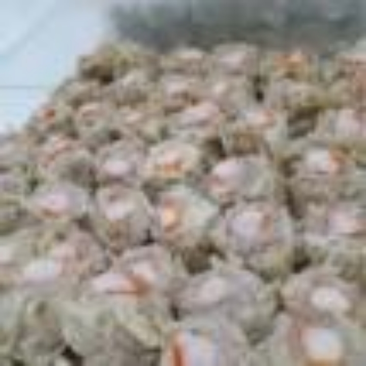 Dimsum Kepiting