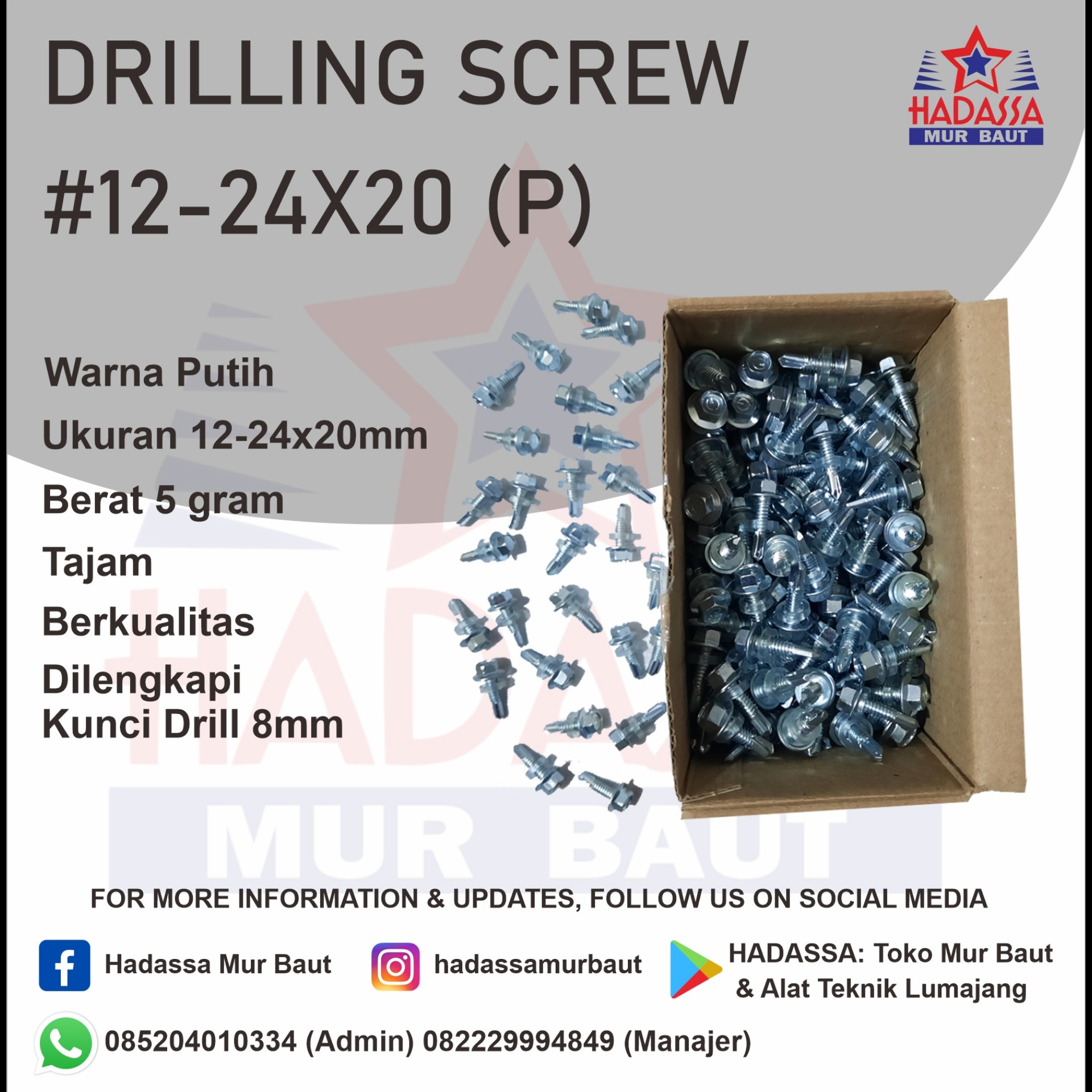 Drilling Screw 12-24x20 P