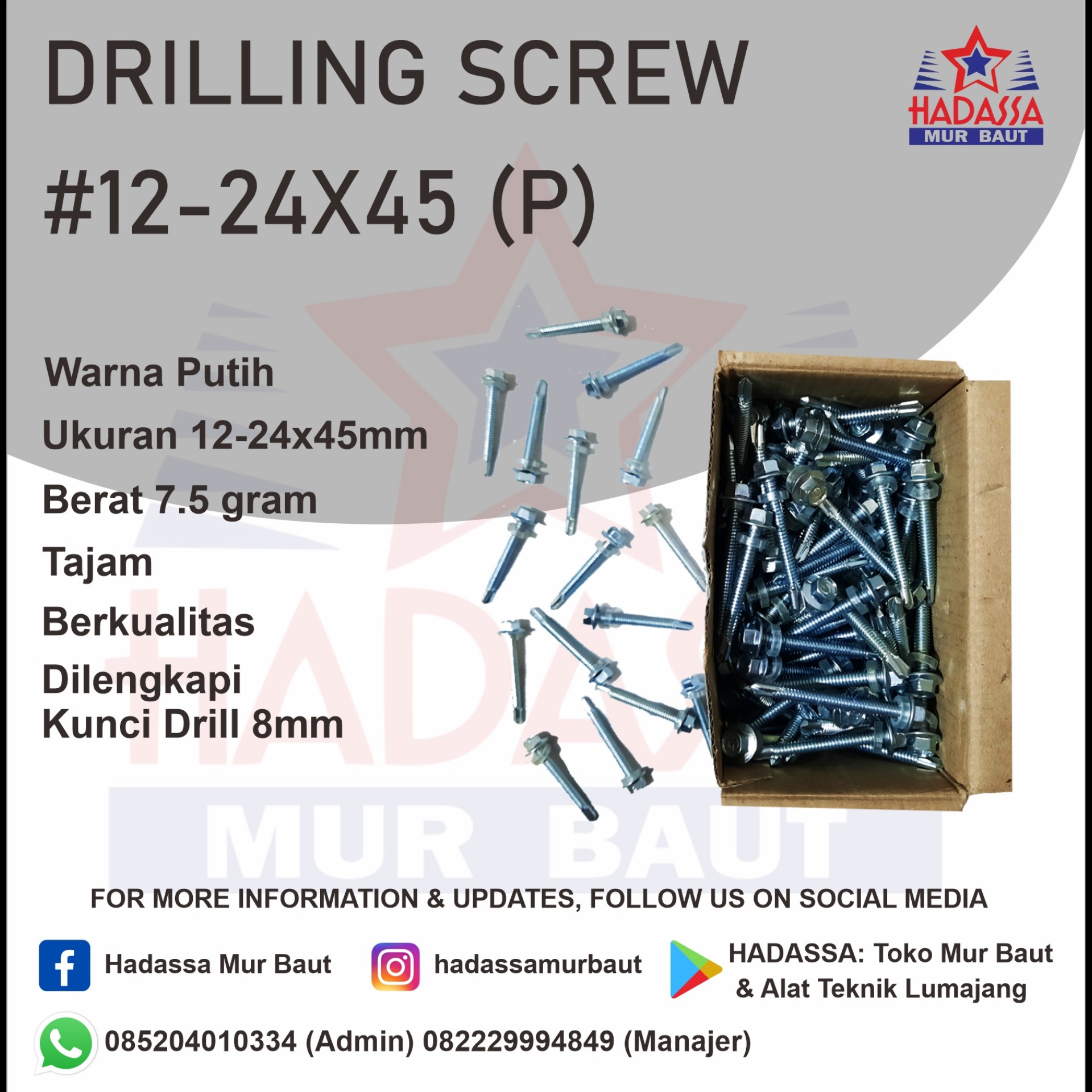 Drilling Screw 12-24x45 P